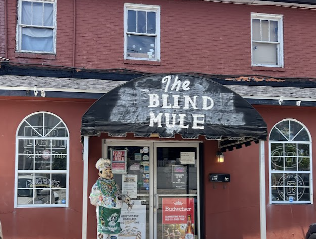 The Blind Mule