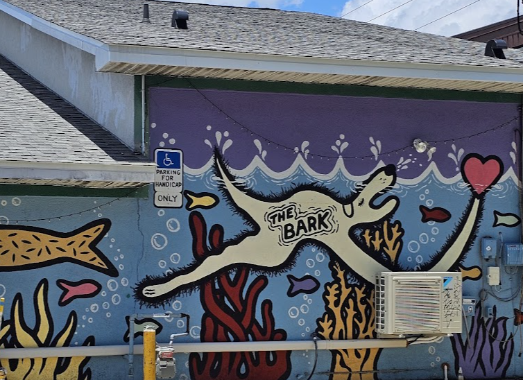 The Bark