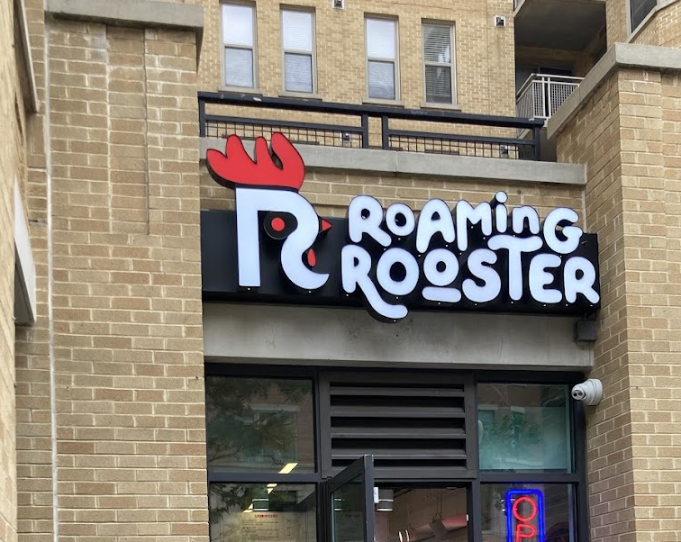 Roaming Rooster