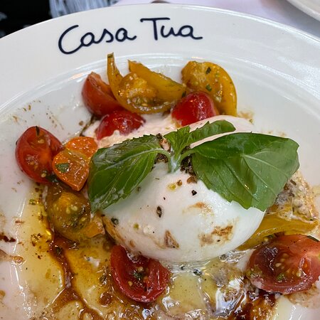 Casa Tua Restaurant signature dishes Burrata
Seared Lamb Chop
Grilled Octopus