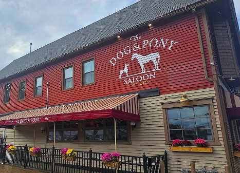 Dog And Pony