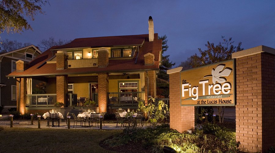 The Fig Tree Restaurant
