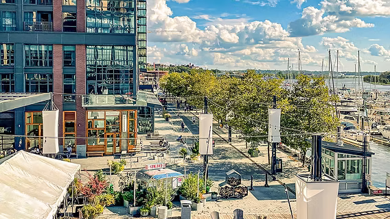 The Wharf