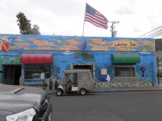 The Lobster Trap