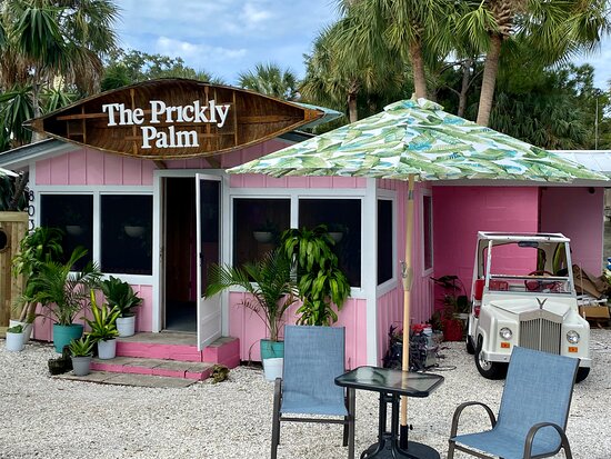 The Prickly Palm