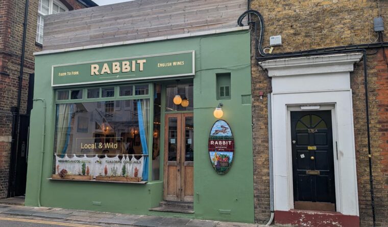 Rabbit